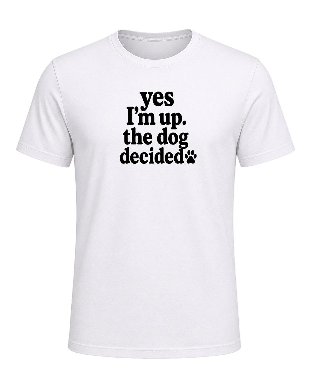 yes I'm up. the dog decided. — White