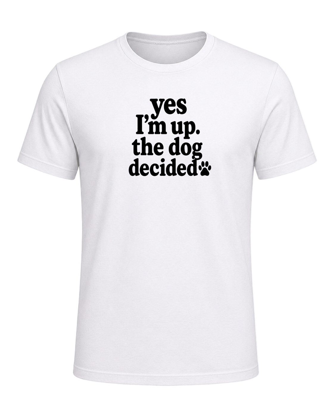 yes I'm up. the dog decided. — White