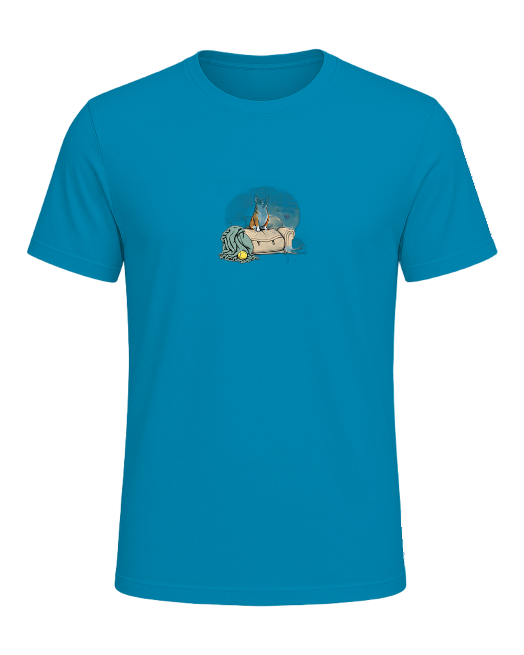 corgi — Aqua