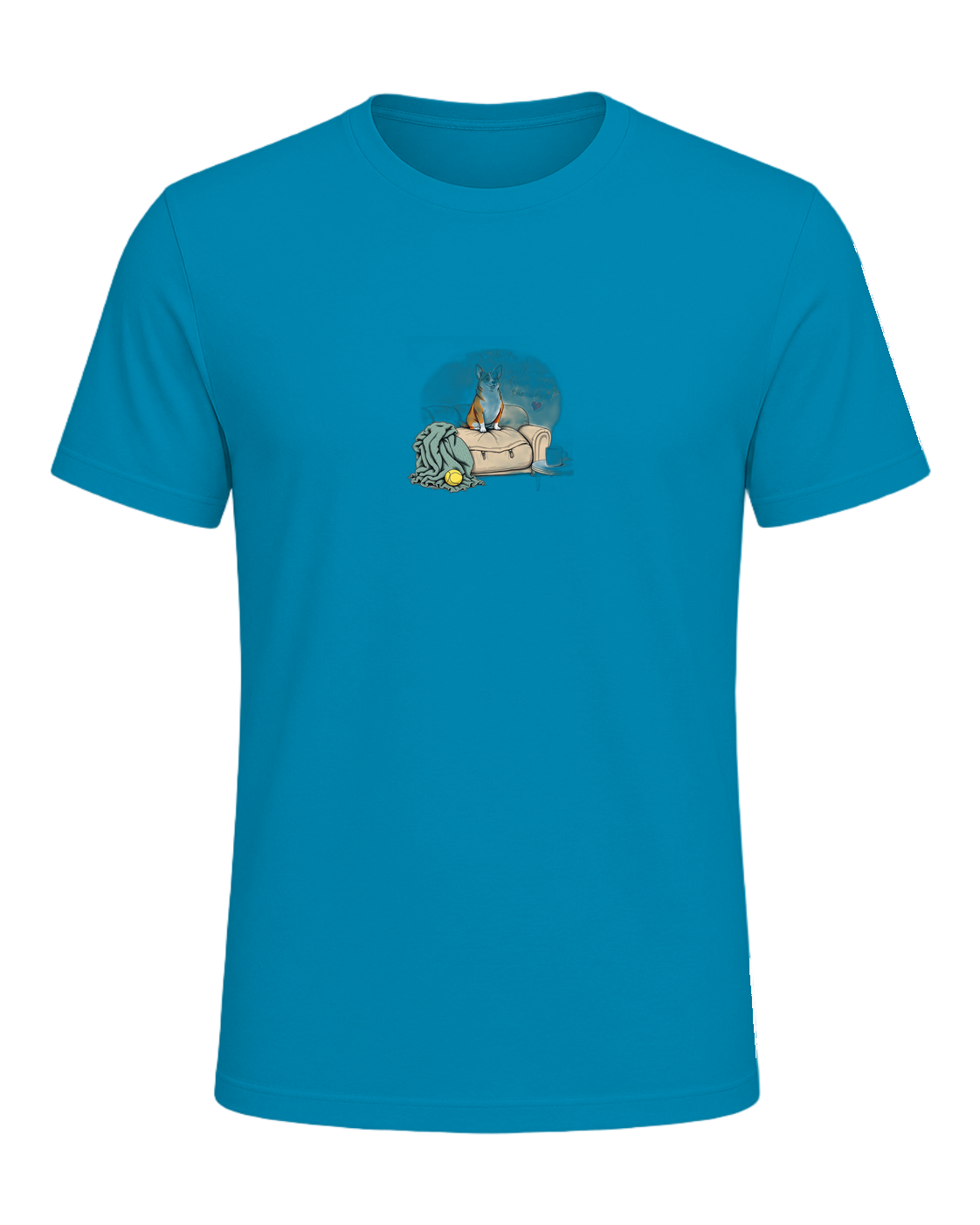 corgi — Aqua