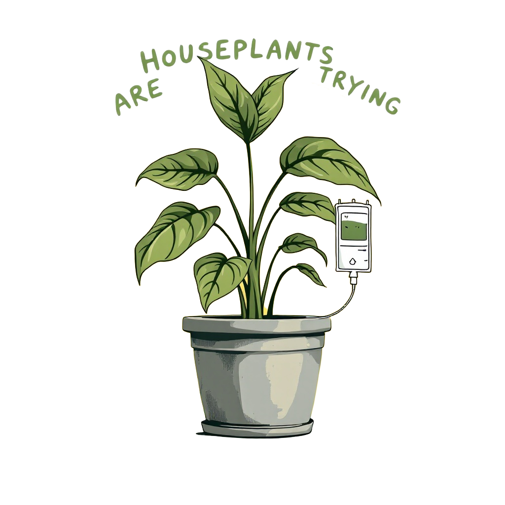 My Houseplants Are Trying