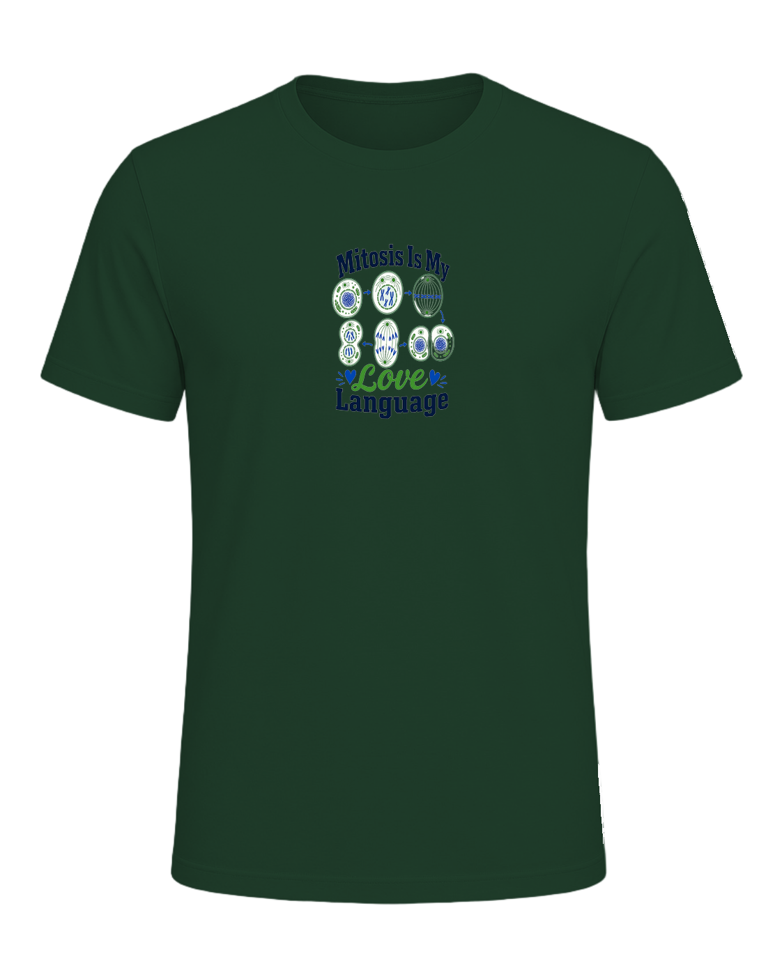 Biology Teacher — Forest