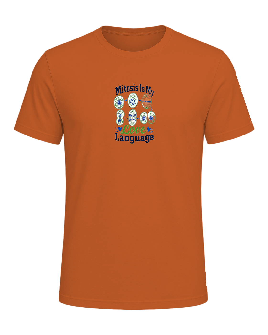 Biology Teacher — Orange
