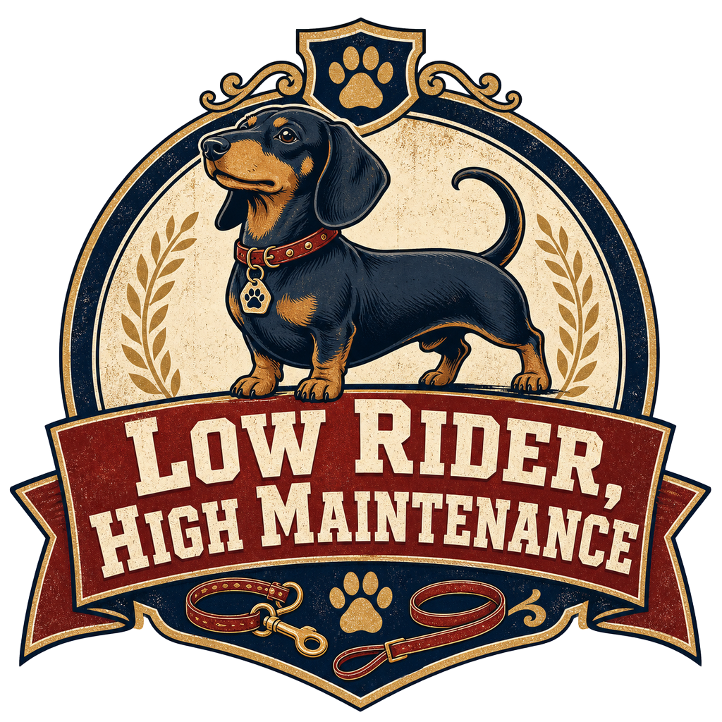 Low Rider, High Maintenance