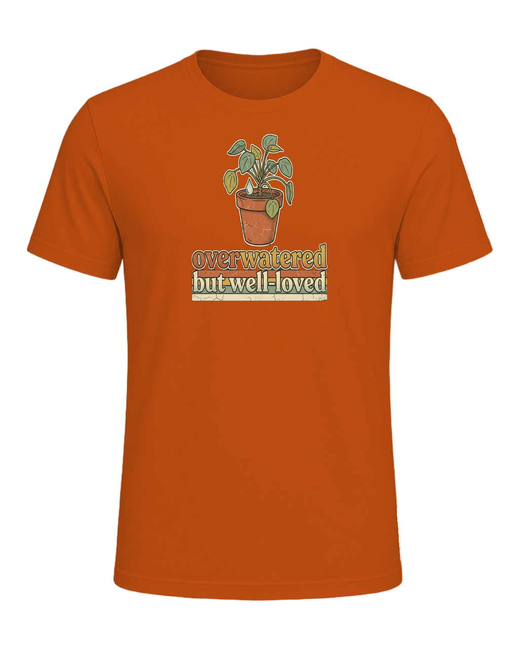 Seed imported design — Autumn