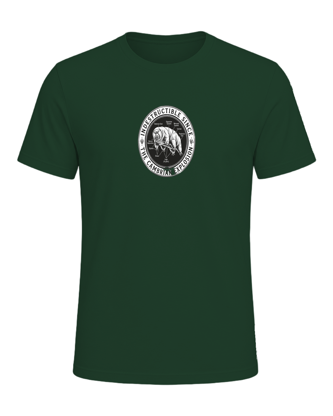 Tardigrade Science Nerd — Forest