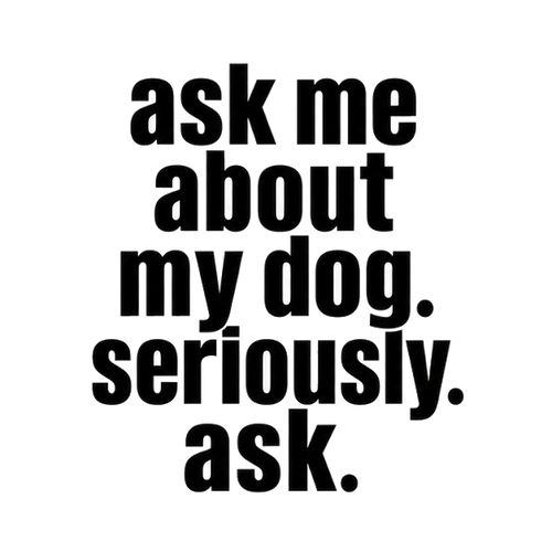 ask me about my dog. seriously. ask.